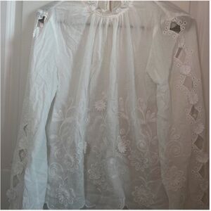 Floral Appliqué Embroidered Anthropologie Shirt (Pilcro) w Scalloped Bottom